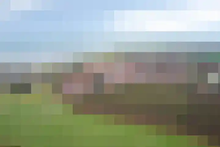 Monnikendijk 1 Kattendijke thumbnail 70