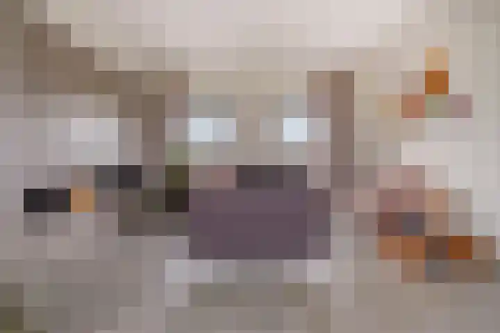 Monnikendijk 1 Kattendijke thumbnail 8