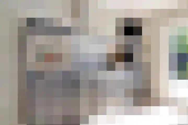 Monnikevenne 1 Monnickendam thumbnail 11