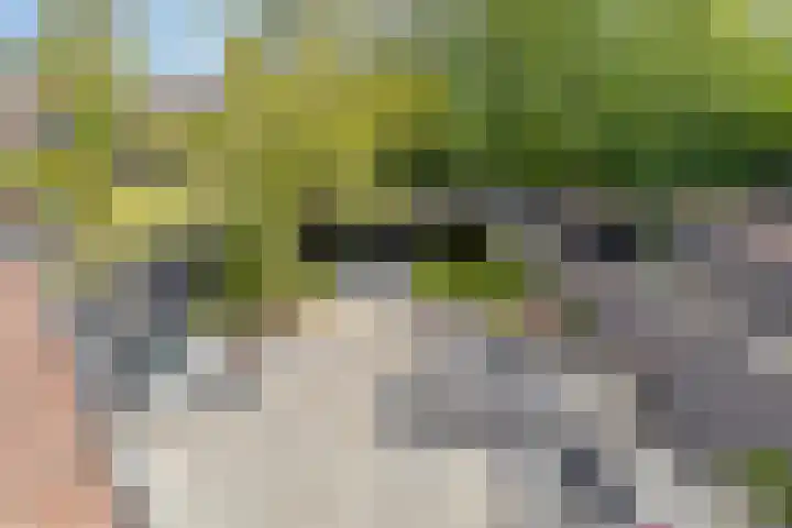 Monnikevenne 1 Monnickendam thumbnail 25