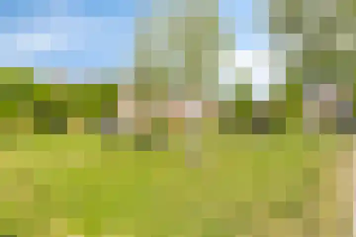 Monnikevenne 1 Monnickendam thumbnail 28