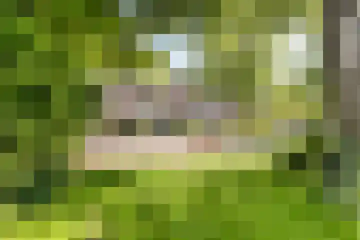 Monnikevenne 1 Monnickendam thumbnail 30