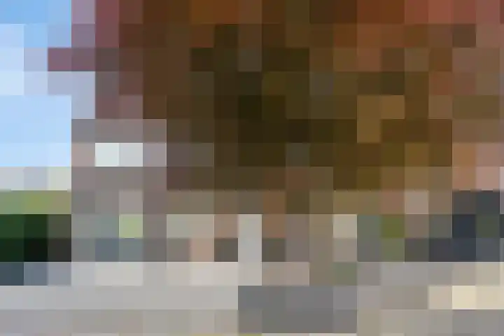 Monnikevenne 1 Monnickendam thumbnail 6