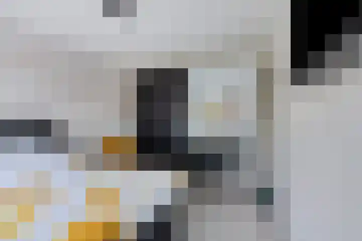 Monnikevenne 2 Monnickendam thumbnail 32