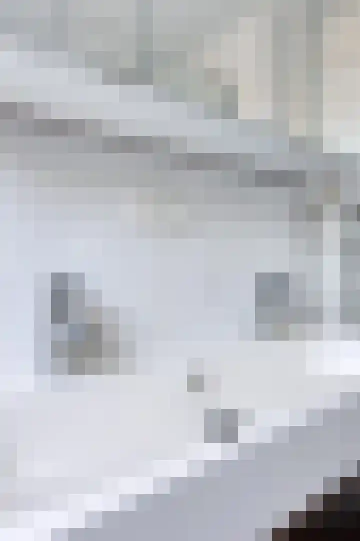 Monnikevenne 2 Monnickendam thumbnail 40