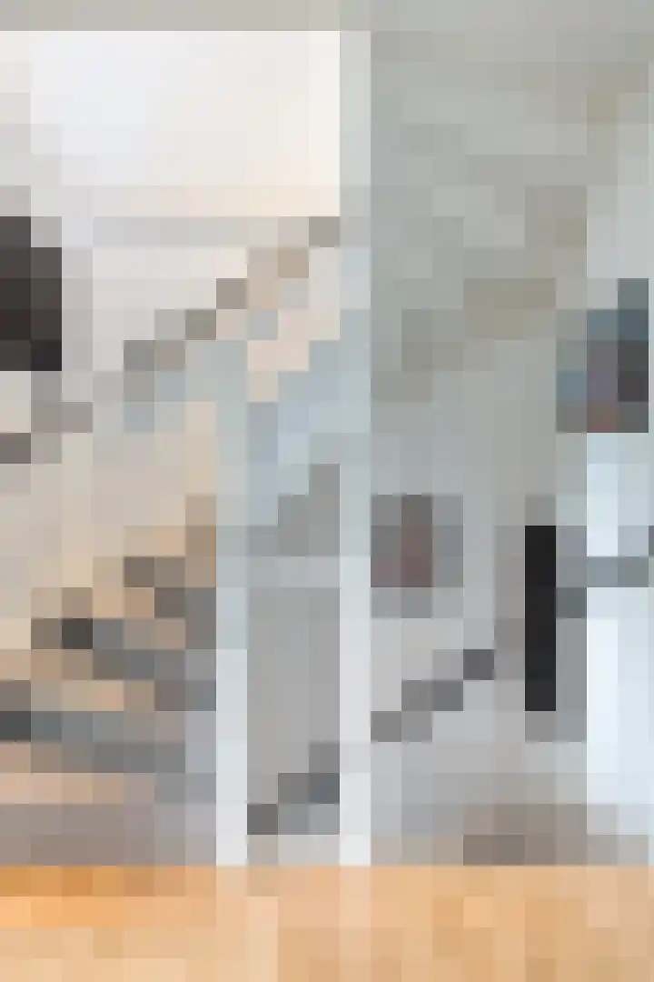 Monnikevenne 2 Monnickendam thumbnail 44