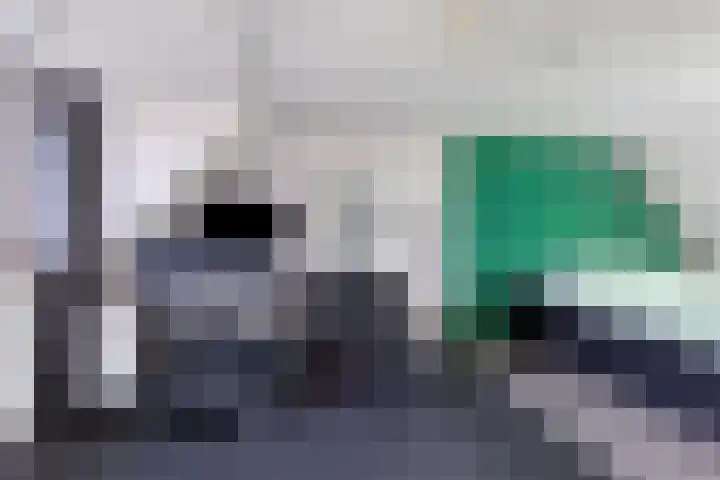 Monnikevenne 2 Monnickendam thumbnail 45