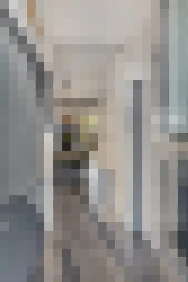 Monnikevenne 2 Monnickendam thumbnail 5