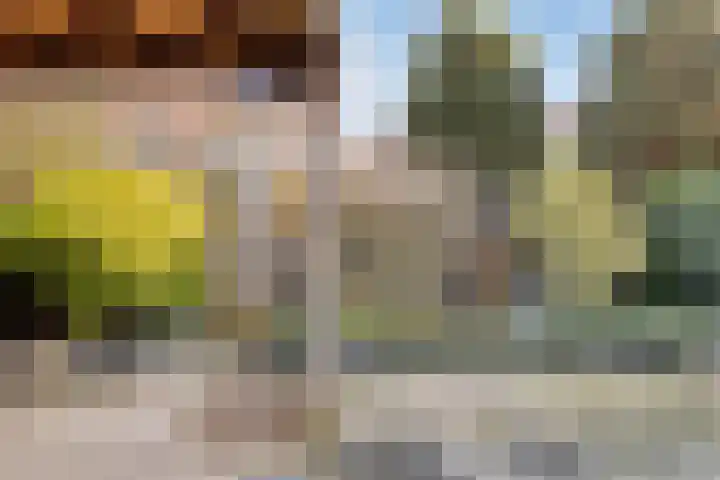 Monnikevenne 2 Monnickendam thumbnail 58