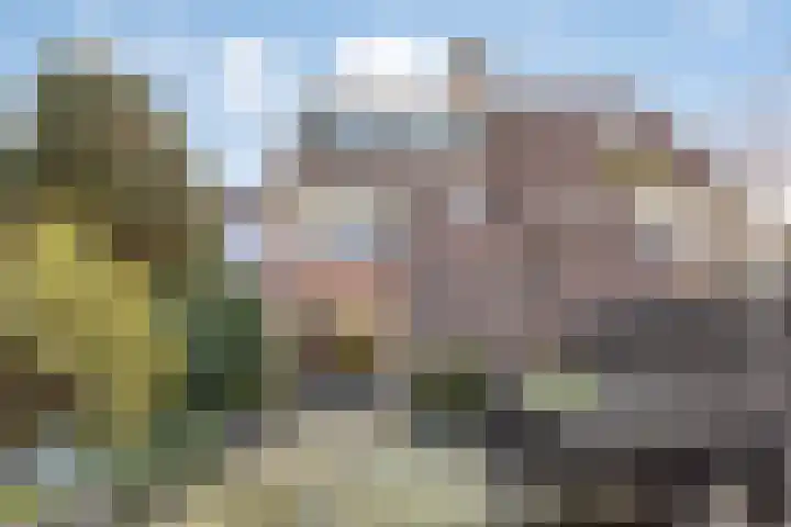 Monnikevenne 2 Monnickendam thumbnail 59