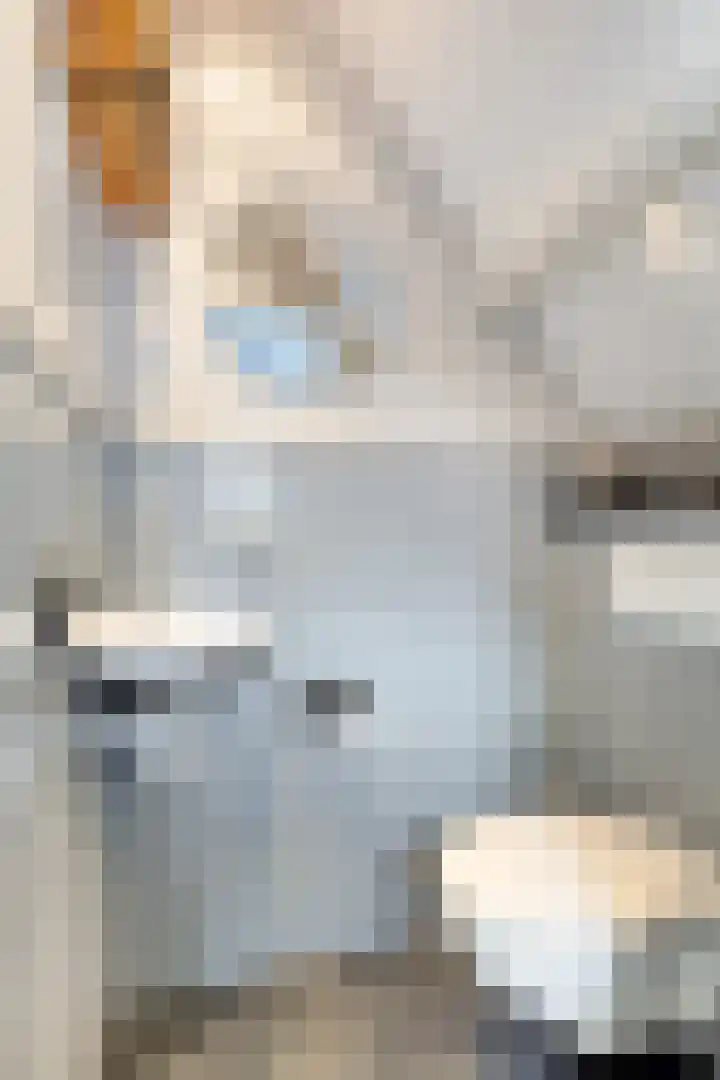 Monnikevenne 2 Monnickendam thumbnail 6