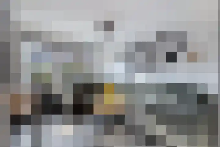 Monnikevenne 2 Monnickendam thumbnail 7