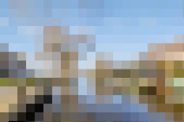 Monnikevenne 2 Monnickendam thumbnail 70