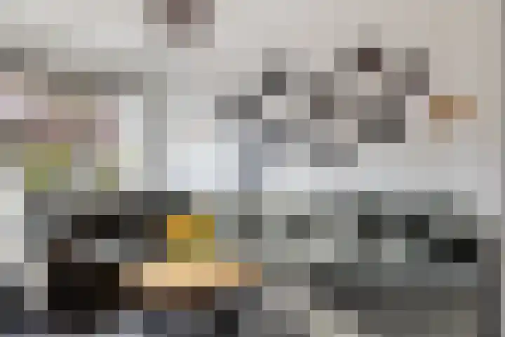 Monnikevenne 2 Monnickendam thumbnail 9