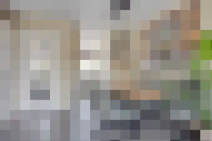 Monnikevenne 56 Monnickendam thumbnail 15