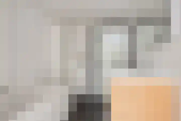 Monnikevenne 56 Monnickendam thumbnail 25