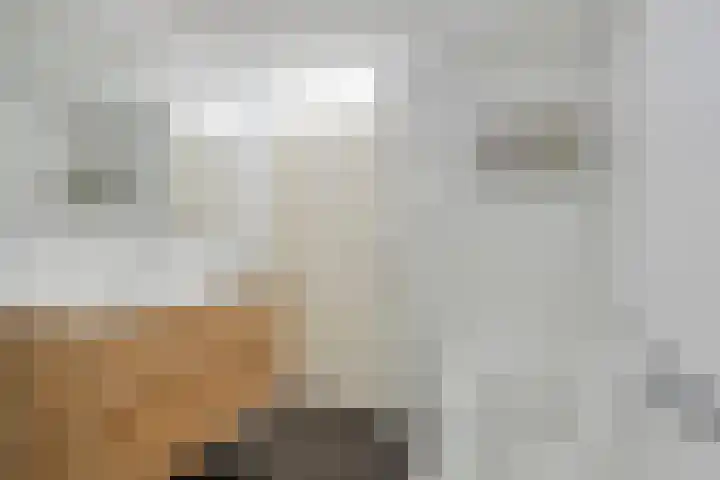 Monnikevenne 56 Monnickendam thumbnail 27
