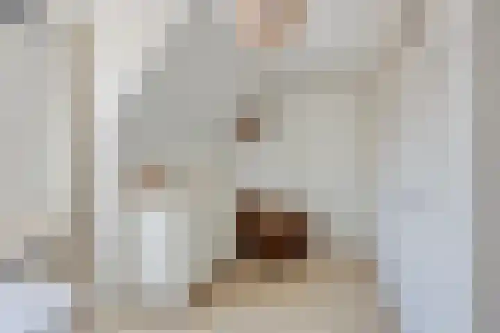 Monnikevenne 56 Monnickendam thumbnail 28