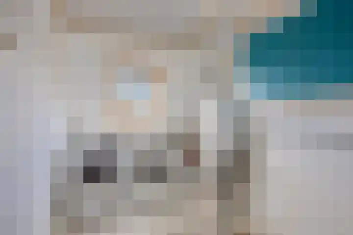 Monnikevenne 56 Monnickendam thumbnail 30