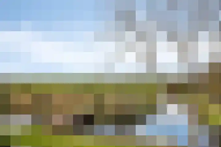 Monnikevenne 56 Monnickendam thumbnail 34