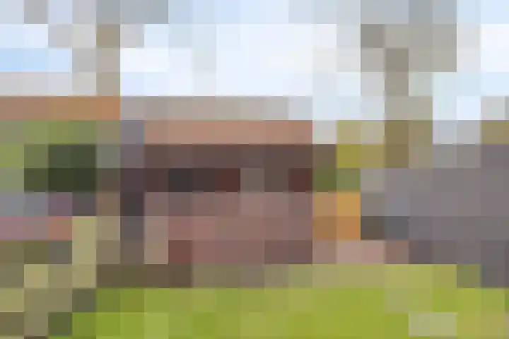 Monnikevenne 56 Monnickendam thumbnail 36