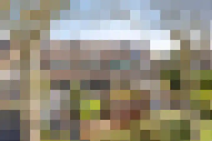 Monnikevenne 56 Monnickendam thumbnail 38