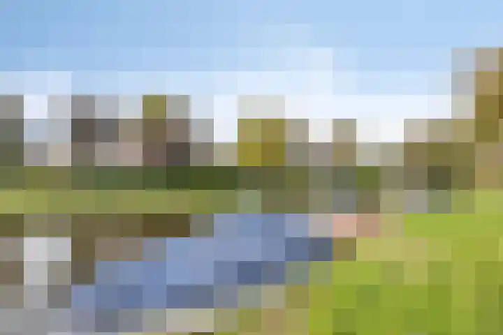 Monnikevenne 56 Monnickendam thumbnail 40