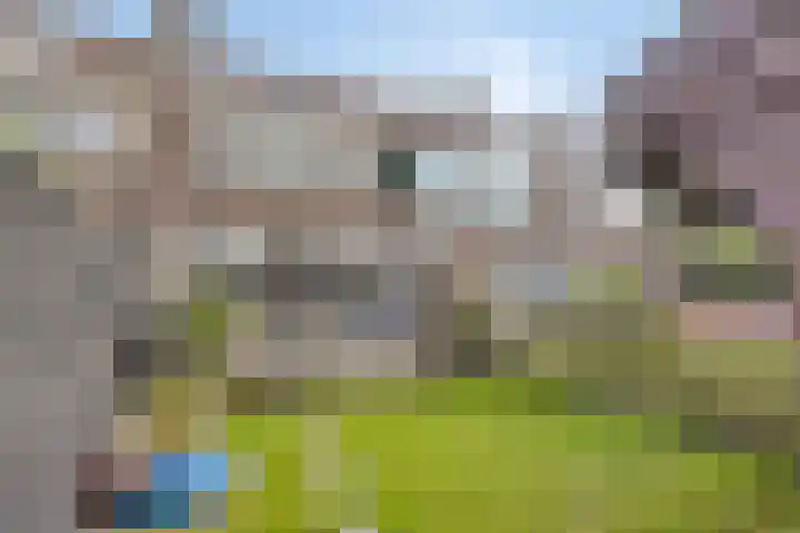 Monnikevenne 56 Monnickendam thumbnail 5