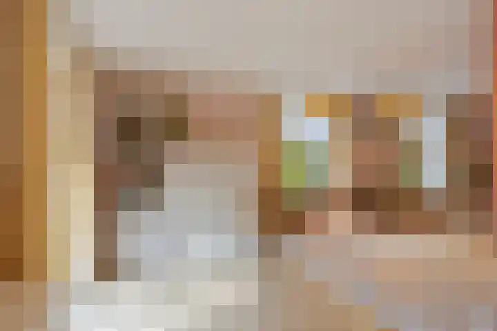 Monnikserf 2 Helmond thumbnail 18