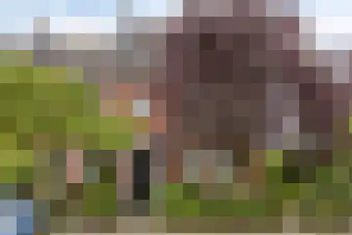 Monnikserf 2 Helmond thumbnail 8