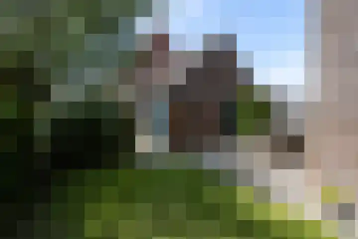 Monnikserf 24 Helmond thumbnail 17