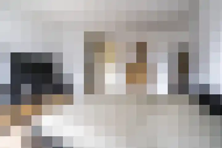 Monnikserf 24 Helmond thumbnail 22