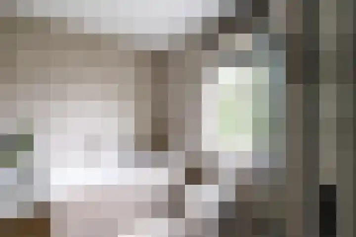 Monnikserf 24 Helmond thumbnail 25