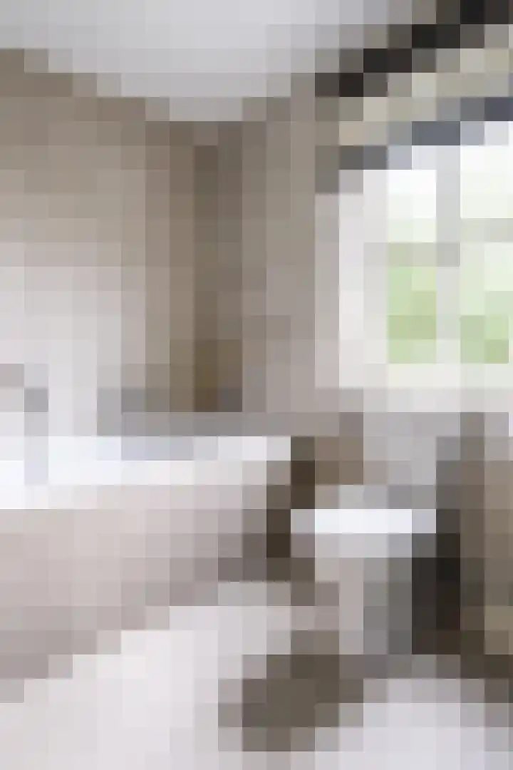 Monnikserf 24 Helmond thumbnail 27