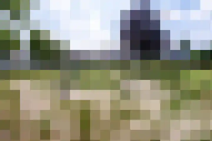 Monnikserf 24 Helmond thumbnail 38