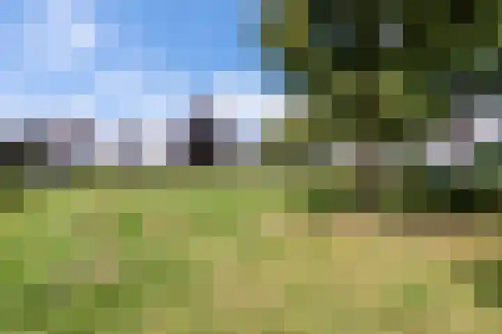 Monnikserf 24 Helmond thumbnail 4