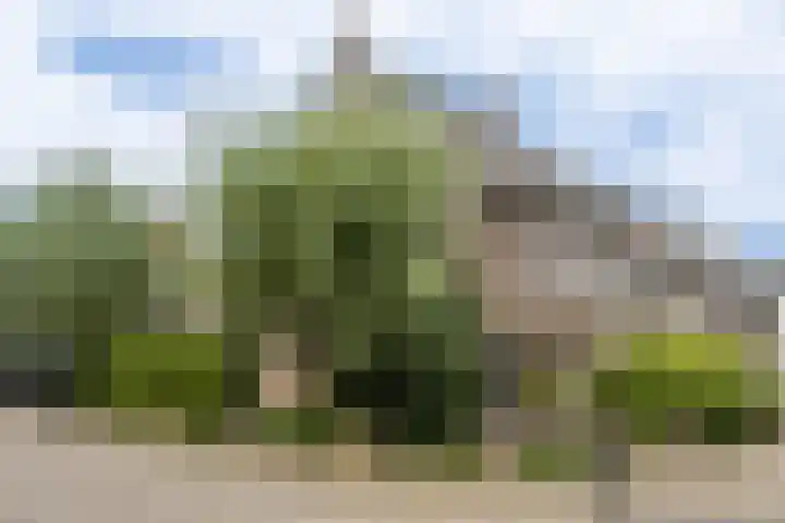 Monnikserf 24 Helmond thumbnail 48