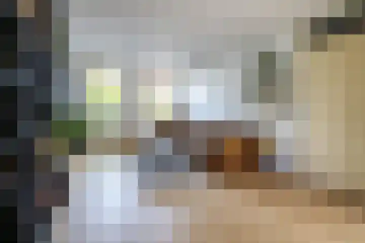Monnikserf 24 Helmond thumbnail 7