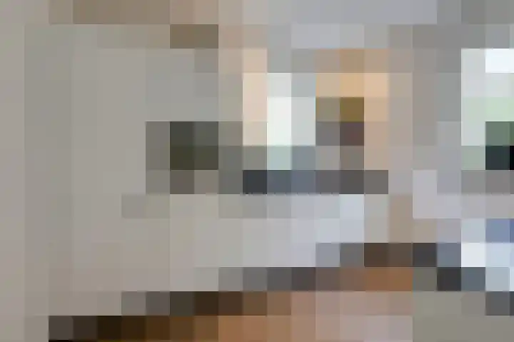 Monniksmouw 12 Wehl thumbnail 24