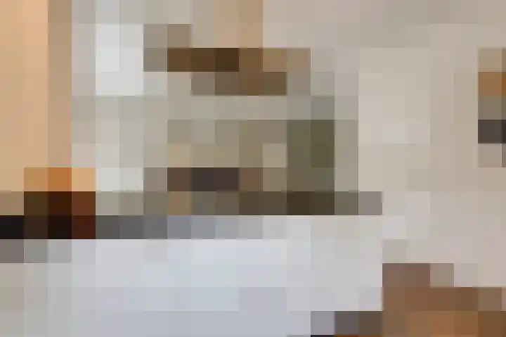 Monniksmouw 12 Wehl thumbnail 27
