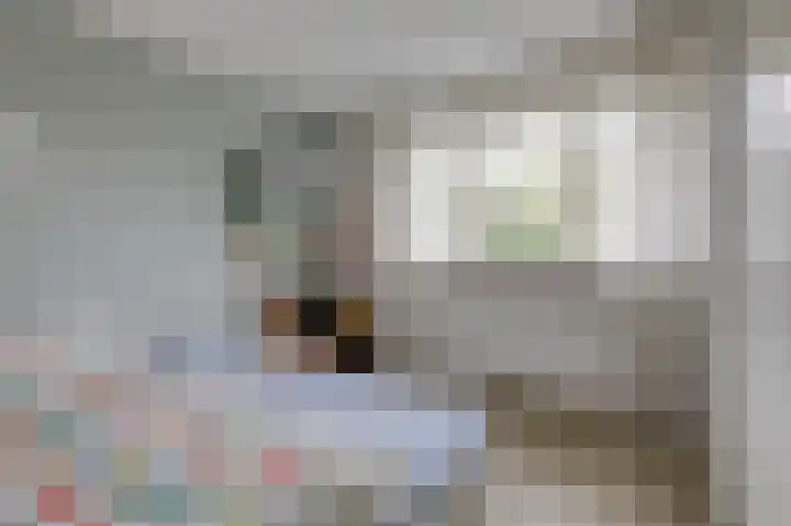Monniksmouw 12 Wehl thumbnail 35