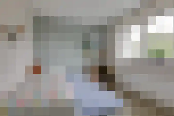 Monniksmouw 12 Wehl thumbnail 36