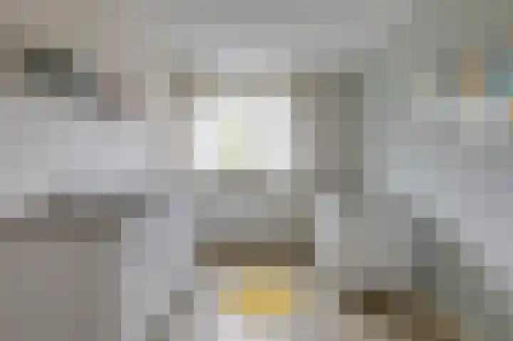 Monniksmouw 12 Wehl thumbnail 38