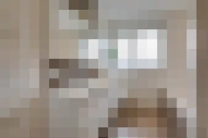 Monniksmouw 12 Wehl thumbnail 39