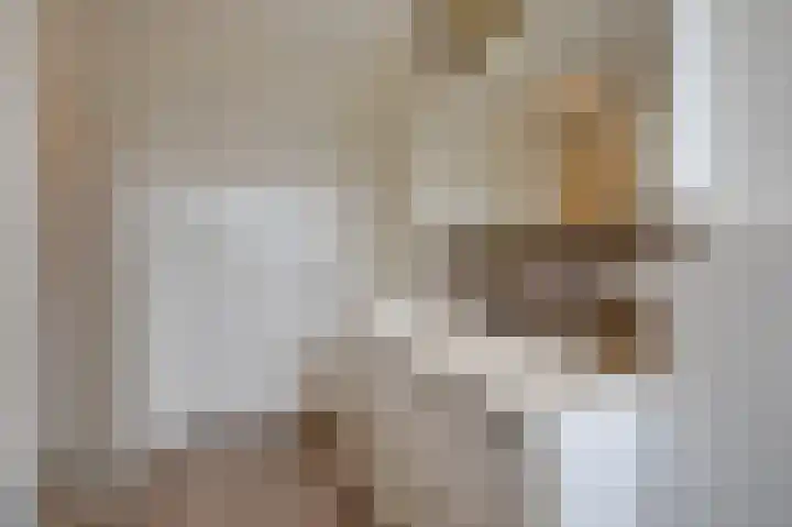 Monniksmouw 12 Wehl thumbnail 41