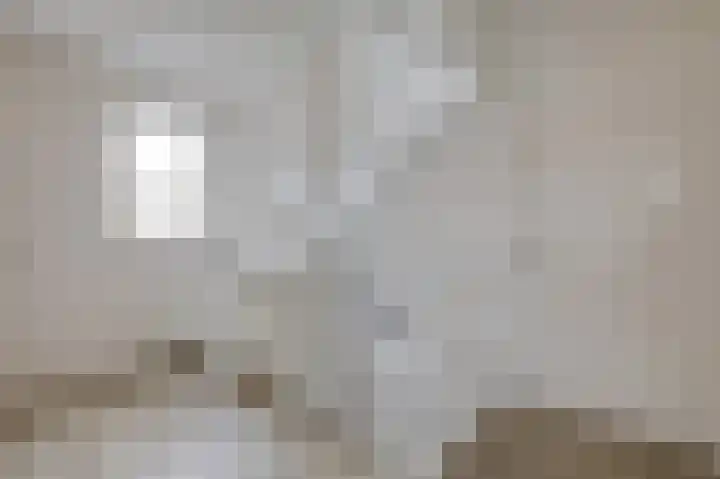 Monniksmouw 12 Wehl thumbnail 45