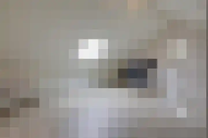 Monniksmouw 12 Wehl thumbnail 47