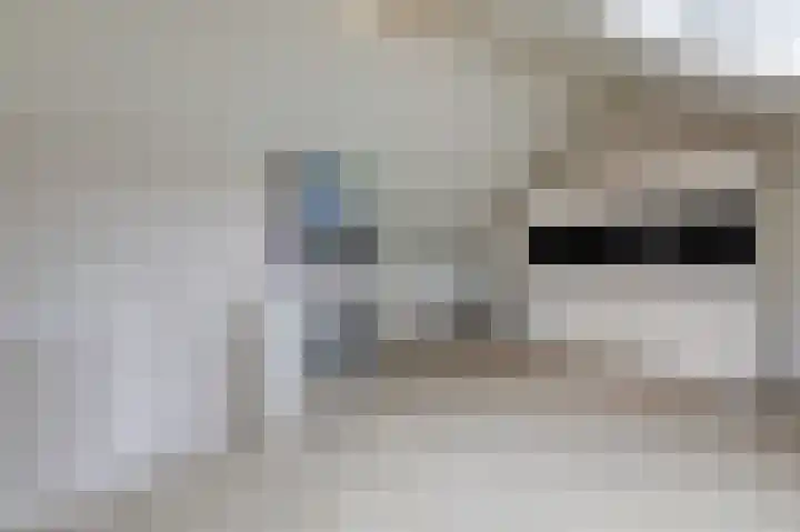 Monniksmouw 12 Wehl thumbnail 48