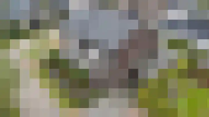 Monniksmouw 12 Wehl thumbnail 5