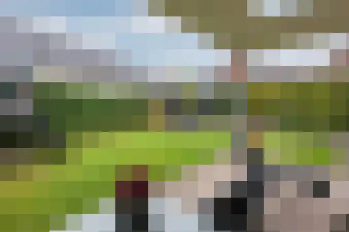 Monniksmouw 12 Wehl thumbnail 54